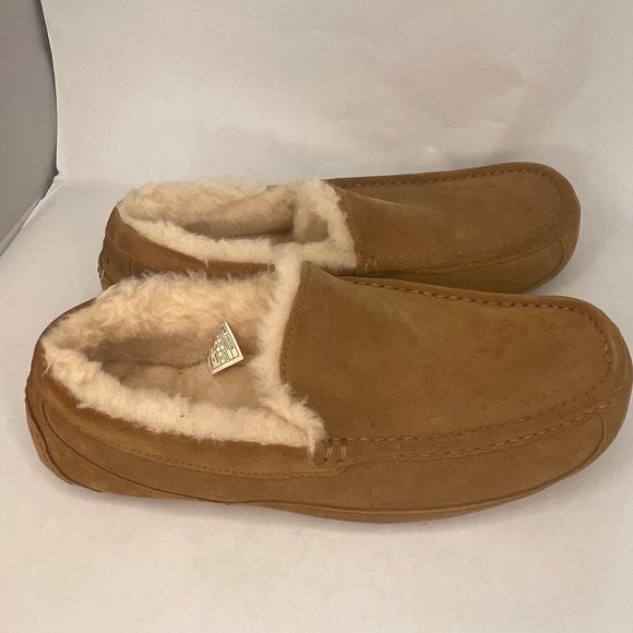 UGG Ascot Slipper suede with rubber sole color chestnut Size 12 main image 4